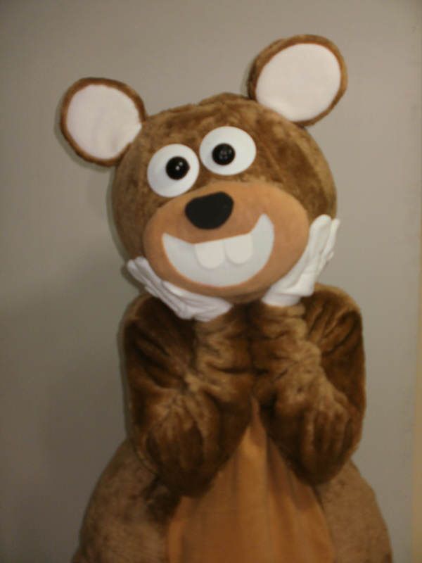 Ayı Maskotu maskot kostümü