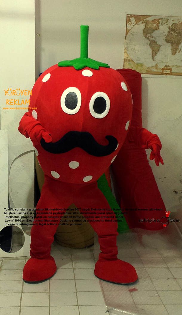 Çilek Maskot Kostümü maskot kostümü
