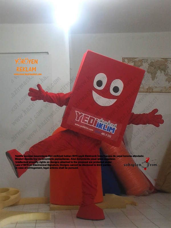 Kitap Maskotu / 7 İklim Dersanesi maskot kostümü