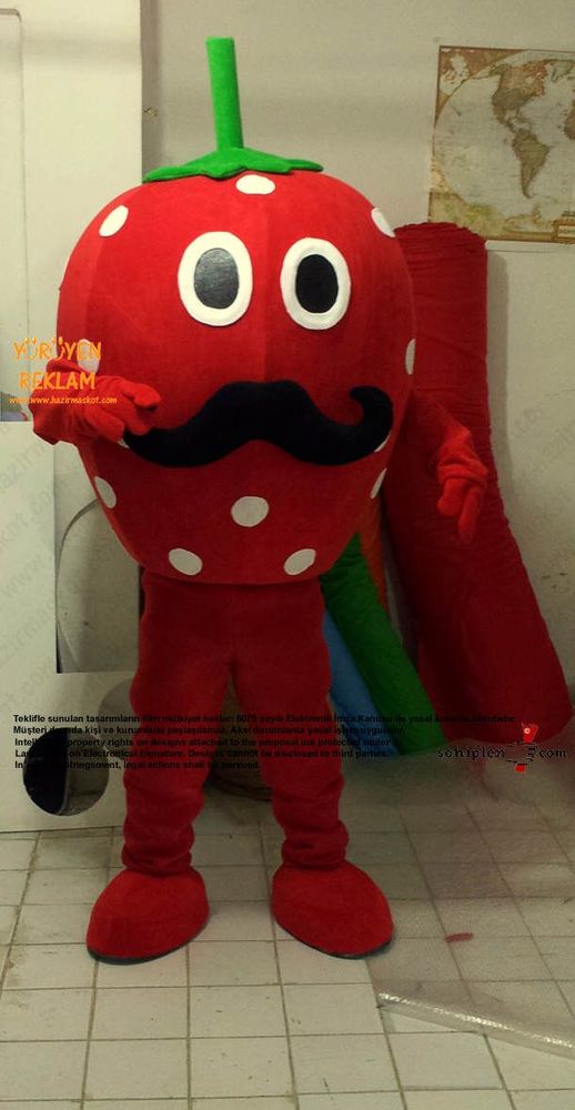 Çilek Maskot Kostümü maskot kostümü