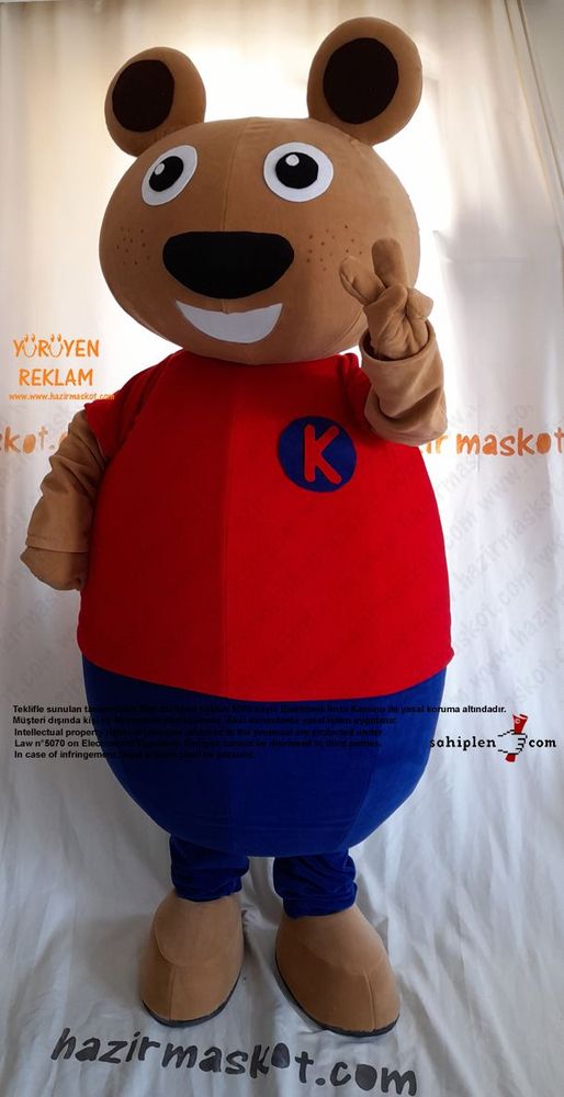 Ayı Maskot Kostümü / TED Koleji maskot kostümü