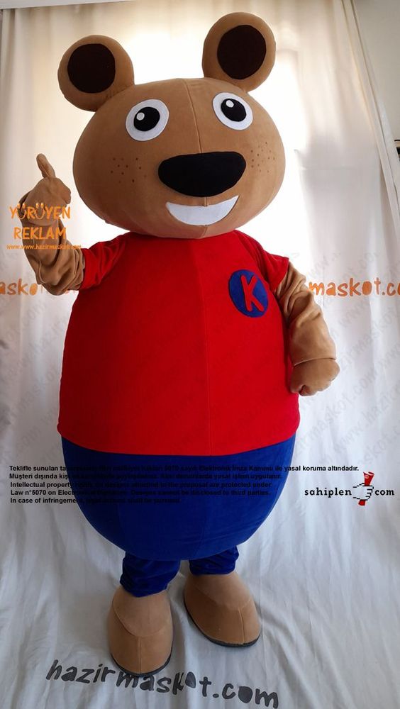 Ayı Maskot Kostümü / TED Koleji maskot kostümü