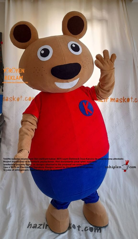 Ayı Maskot Kostümü / TED Koleji maskot kostümü