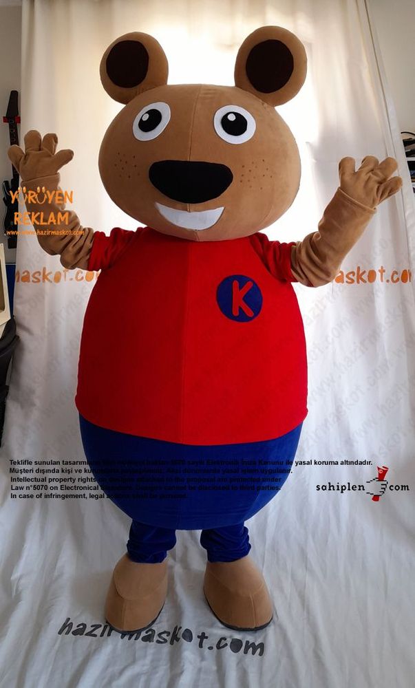 Ayı Maskot Kostümü / TED Koleji maskot kostümü