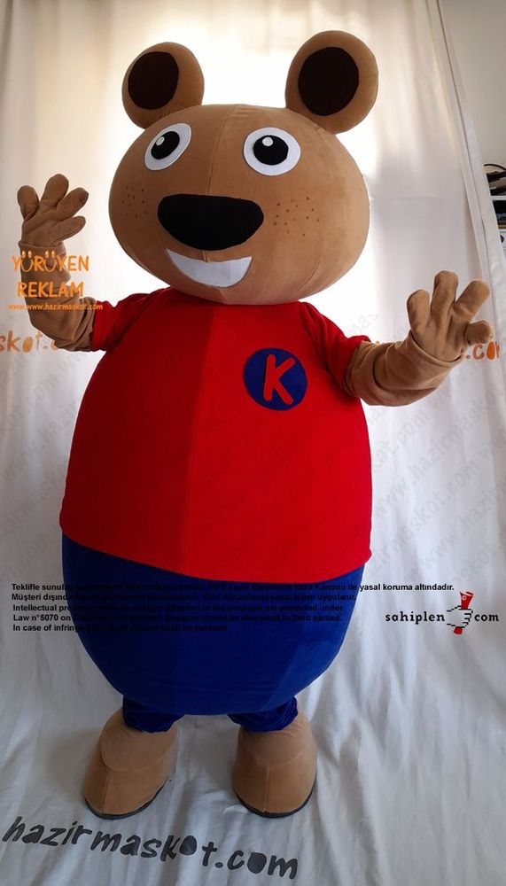 Ayı Maskot Kostümü / TED Koleji maskot kostümü
