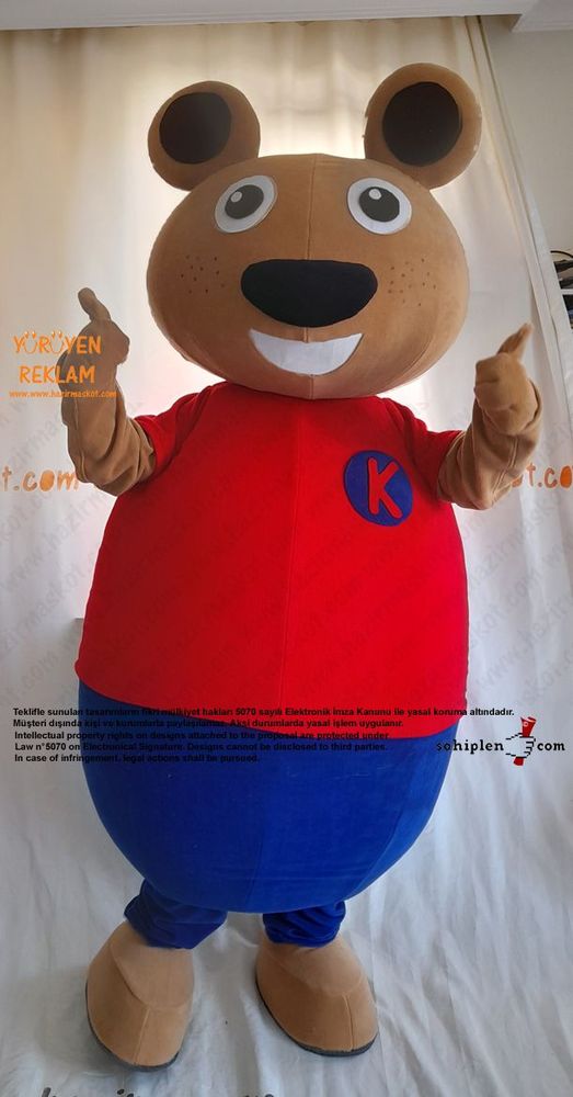 Ayı Maskot Kostümü / TED Koleji maskot kostümü