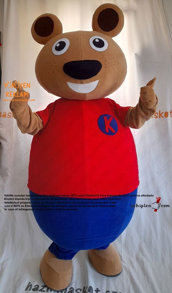Ayı Maskot Kostümü / TED Koleji maskot kostümü