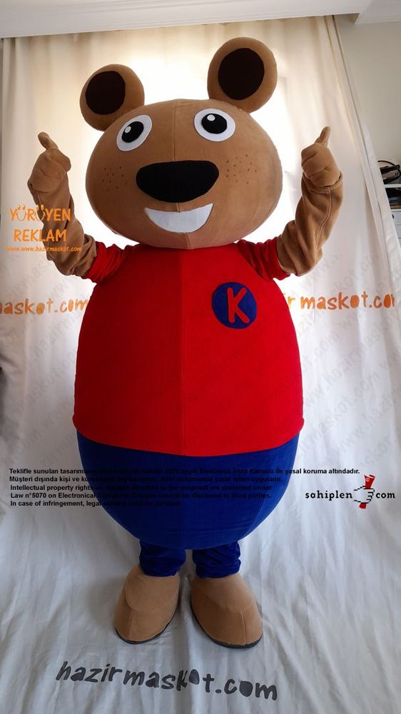 Ayı Maskot Kostümü / TED Koleji maskot kostümü