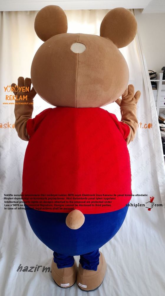 Ayı Maskot Kostümü / TED Koleji maskot kostümü