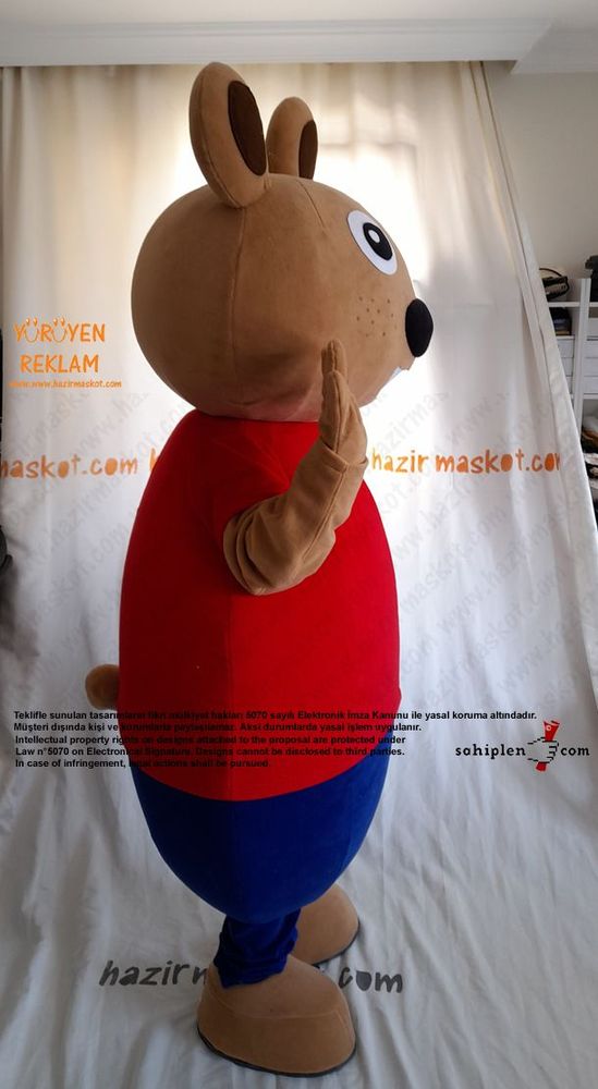 Ayı Maskot Kostümü / TED Koleji maskot kostümü