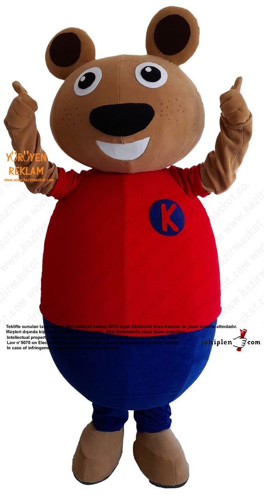 Ayı Maskot Kostümü / TED Koleji maskot kostümü