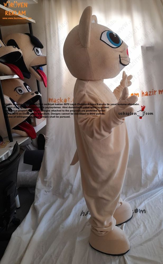Kedi Maskot Kostümü maskot kostümü