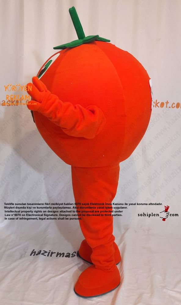 PORTAKAL Maskot maskot kostümü