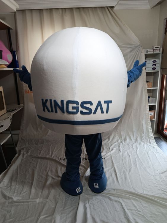Gemi Anten Maskot Kostümü maskot kostümü