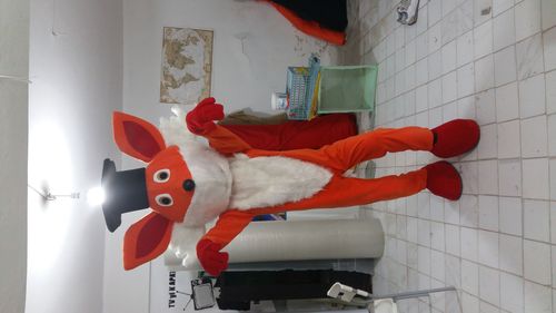 Tilki Maskot Kostümü / Uluslar Arası Kıbrıs Üniversitesi maskot kostümü